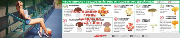 a pvp Алексин